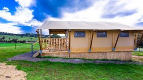 Hillview Farmstay - Kempsey Accommodation 1