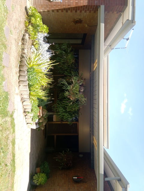 Hilltop Escape B&B - Kempsey Accommodation 0