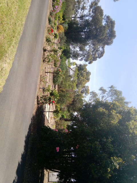 Hilltop Escape B&B - Kempsey Accommodation 1
