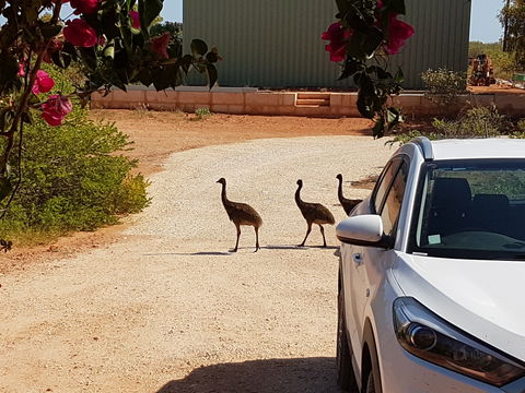 Ningaloo Bed And Breakfast - Kempsey Accommodation 1