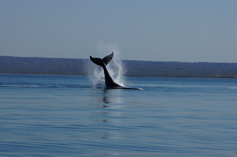 Ningaloo Bed And Breakfast - Kempsey Accommodation 2