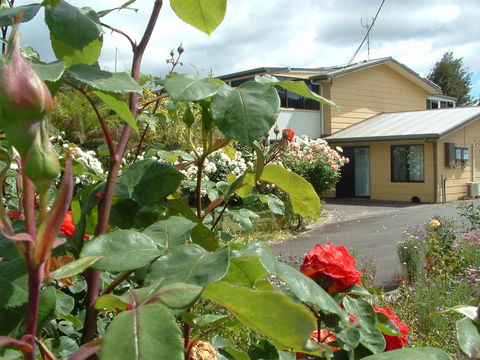 North East Restawhile Bed And Breakfast - Kempsey Accommodation 1