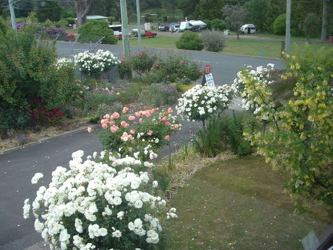 North East Restawhile Bed And Breakfast - Kempsey Accommodation 2
