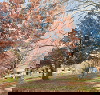 Tumbarumba Caravan Park - Kempsey Accommodation