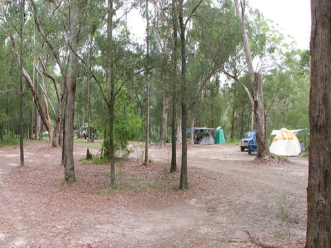 Wallingat River Campground - Kempsey Accommodation 1