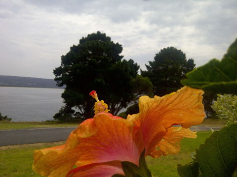 Eden Oceanview - Kempsey Accommodation 1