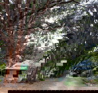 Fernleigh Accommodation