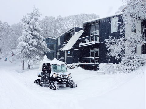 Kilimanjaro Alpine Apartments - Kempsey Accommodation 2