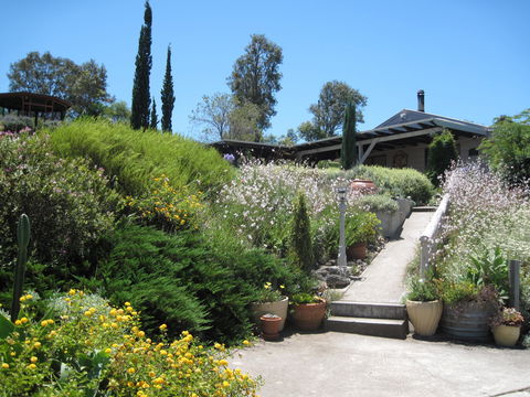 Valley View Cottage Hunter Valley - Kempsey Accommodation 0