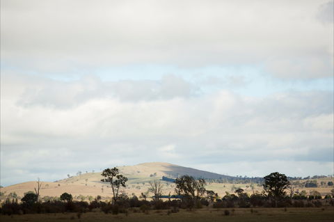 Aurelias Farm Bed And Breakfast - Kempsey Accommodation 1