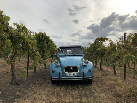 Birches Bed And Breakfast Mudgee - Kempsey Accommodation 2