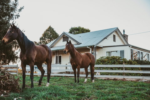 Glenburnie Cottage - Kempsey Accommodation 0