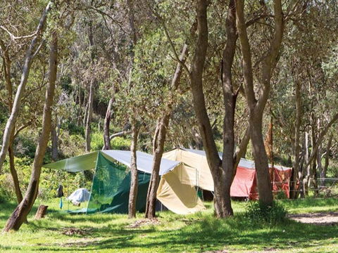 Pebbly Beach Campground - Yuraygir National Park - Kempsey Accommodation 1