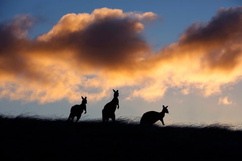 Sky House LifeTime Private Retreats - Kempsey Accommodation 1