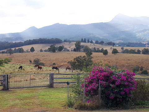 The Barn  House Farm Stay At Possum Manor - Kempsey Accommodation 0