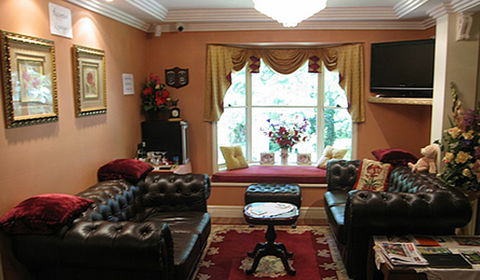 Curtis Falls Mountain Retreat - Kempsey Accommodation 4