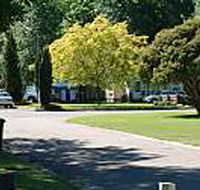 Mitchell Gardens Holiday Park - Kempsey Accommodation