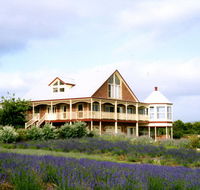 Serendipity Lavender Farm - Kempsey Accommodation