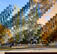 Omeo Caravan Park - Kempsey Accommodation