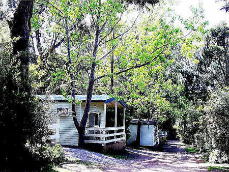Flinders Caravan Park - Kempsey Accommodation 0