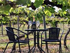 De Vine Escape - Kempsey Accommodation 2