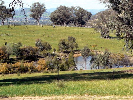 Gaddleen Grove Cottages - Kempsey Accommodation 3
