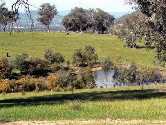 Gaddleen Grove Cottages - Kempsey Accommodation 5