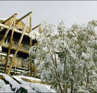 Silverski - Kempsey Accommodation