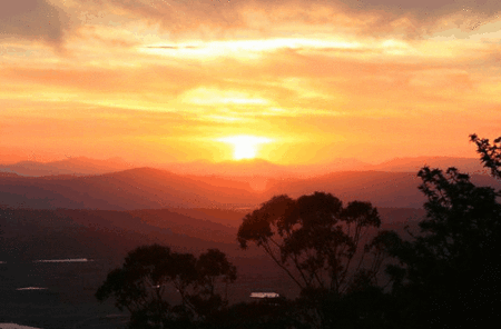 Avocado Sunset - Kempsey Accommodation