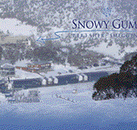 Snowy Gums Chalet