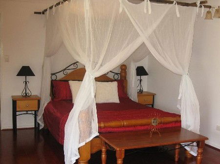 Attunga Park Country Retreat - Kempsey Accommodation 4