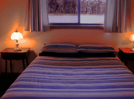 Lake Yalleena Cabins - Kempsey Accommodation