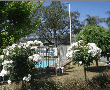 Aromet Motor Inn - Kempsey Accommodation 5