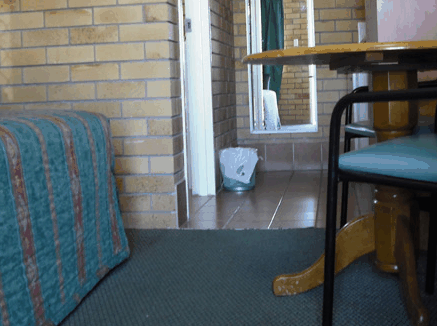 Dragon  Phoenix Motel - Kempsey Accommodation
