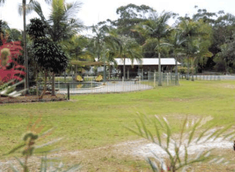 Minnie Water Holiday Park - Kempsey Accommodation 5