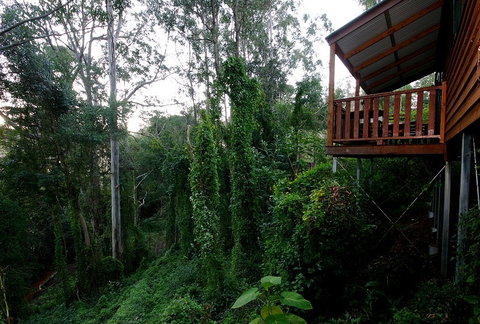 Ravensbourne Forest Chalets - Kempsey Accommodation 1