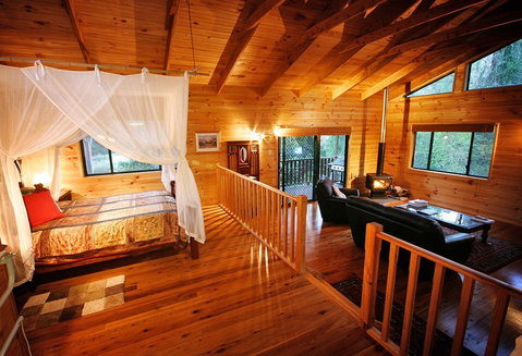 Ravensbourne Forest Chalets - Kempsey Accommodation 2