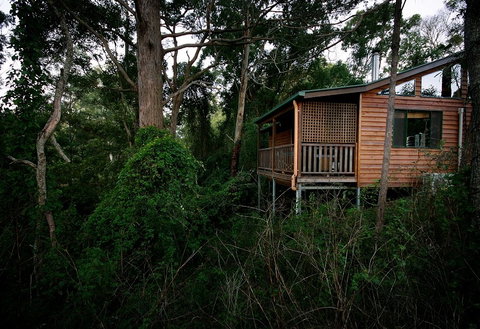 Ravensbourne Forest Chalets - Kempsey Accommodation 4