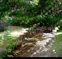 Coco's Country Cottage - Kempsey Accommodation