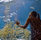 The Aquarium of Western Australia - Kempsey Accommodation