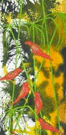 Jahroc Mill Gallery - Kempsey Accommodation 3