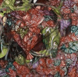 Jan Murphy Gallery - Kempsey Accommodation 3