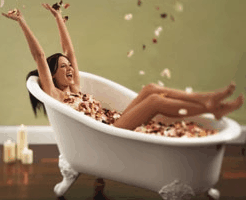 Toowong Village - Kempsey Accommodation