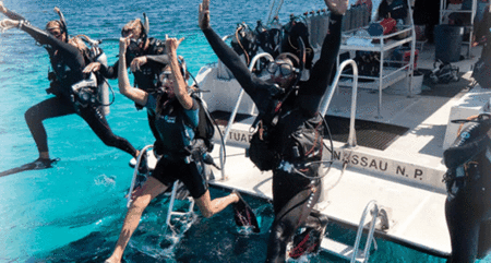 Snorkel Safari Brisbane