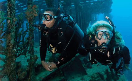 Snorkel Safari Brisbane - Kempsey Accommodation 2