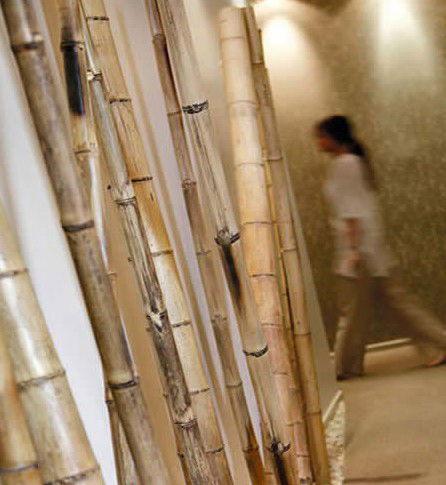 Spa Nirvana - Kempsey Accommodation 0