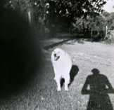 Fehily Contemporary - Kempsey Accommodation 2