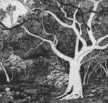 Tacit Contemporary Art - Kempsey Accommodation