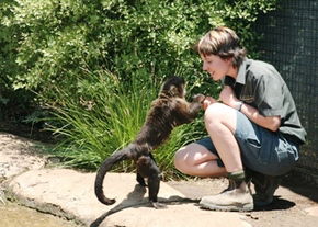 National Zoo & Aquarium - Kempsey Accommodation 1