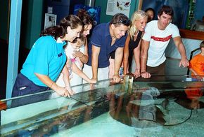 Underwater World - Kempsey Accommodation 3